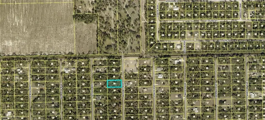 2315 Moore Avenue, Alva, FL 33920 - Image #3
