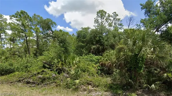 718 Louis Avenue, Lehigh Acres, FL 33972