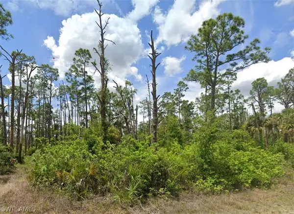 709 Monroe Avenue, Lehigh Acres, FL 33972