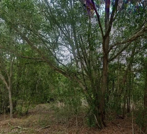 118 Johns Avenue, Lehigh Acres, FL 33936