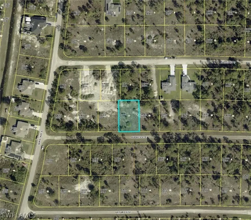 857 Audrey Street E, Lehigh Acres, FL 33974 - #3