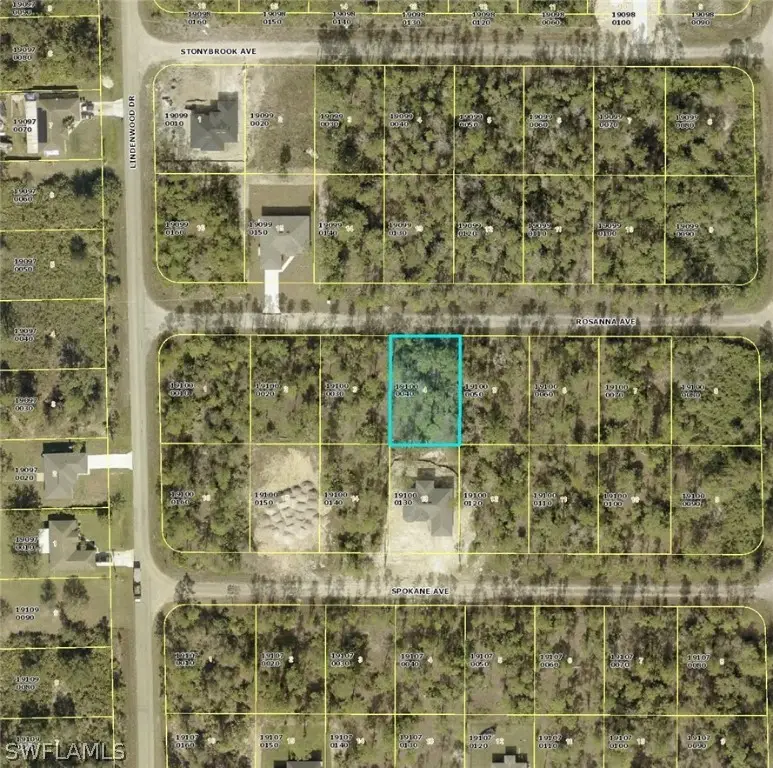 309 Rosanna Avenue, Lehigh Acres, FL 33972 - #2