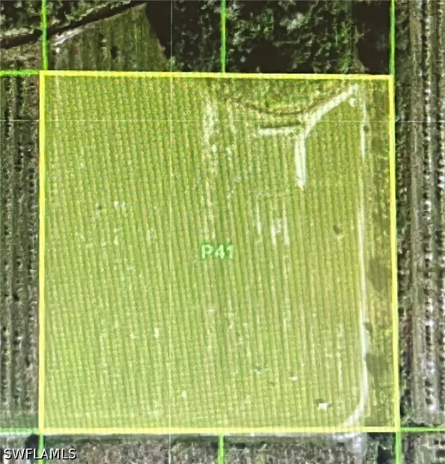 46310 Neal Road, Punta Gorda, FL 33982 - #2