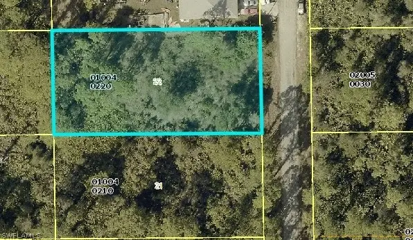 2019 Scott Avenue, Alva, FL 33920