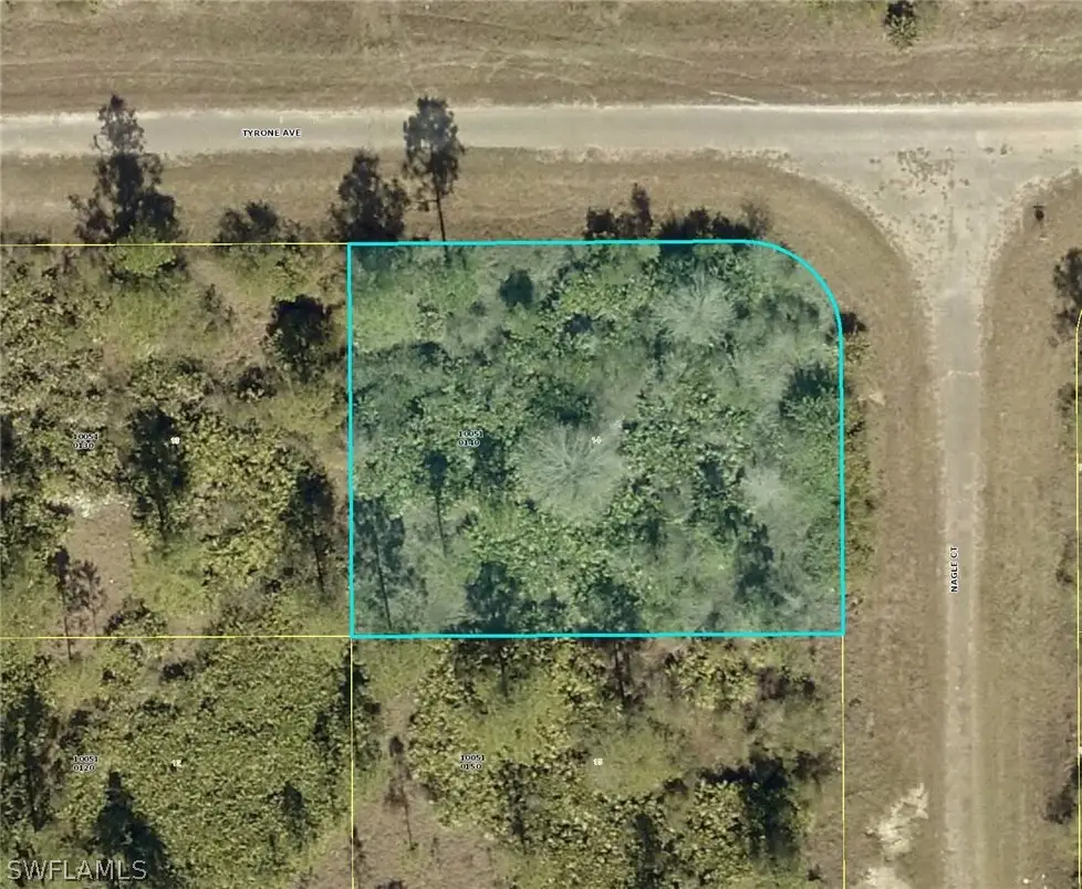 315 Nagle Court, Lehigh Acres, FL 33972 - #1