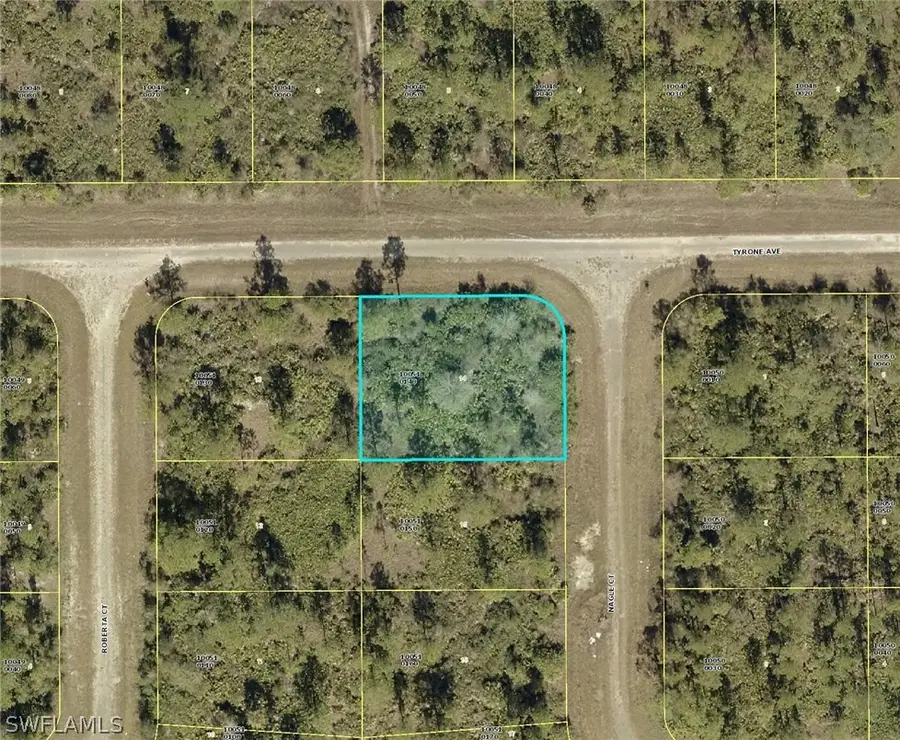 315 Nagle Court, Lehigh Acres, FL 33972 - #2