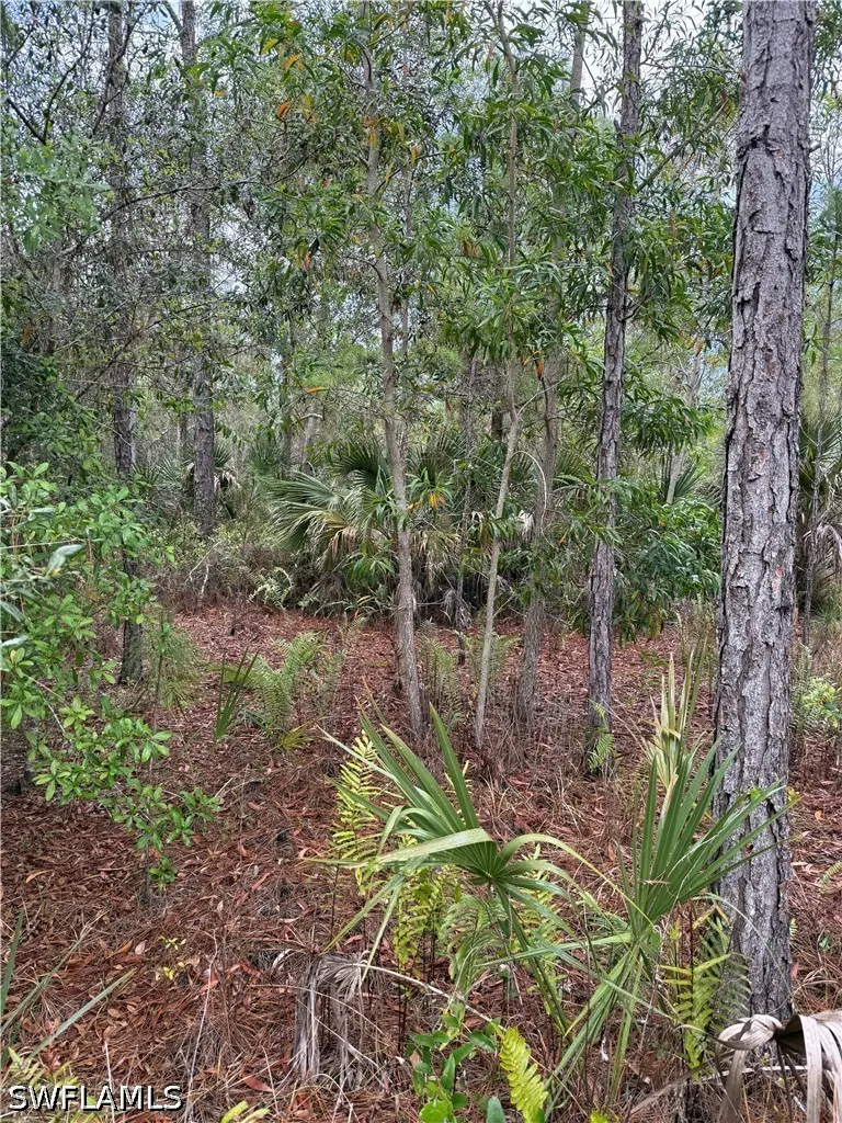 33rd Avenue Ne, Naples, FL 34120 - #1