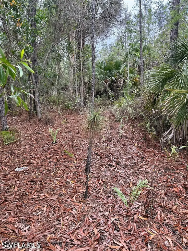 33rd Avenue Ne, Naples, FL 34120 - #3