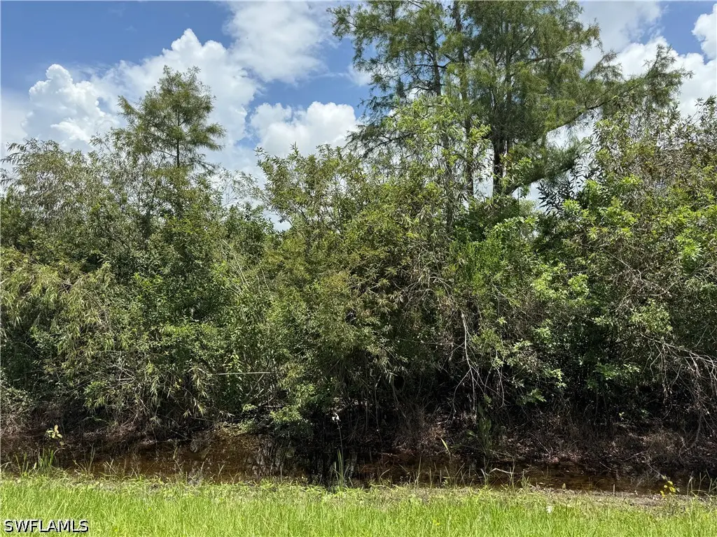 39th Avenue Ne, Naples, FL 34120 - #1