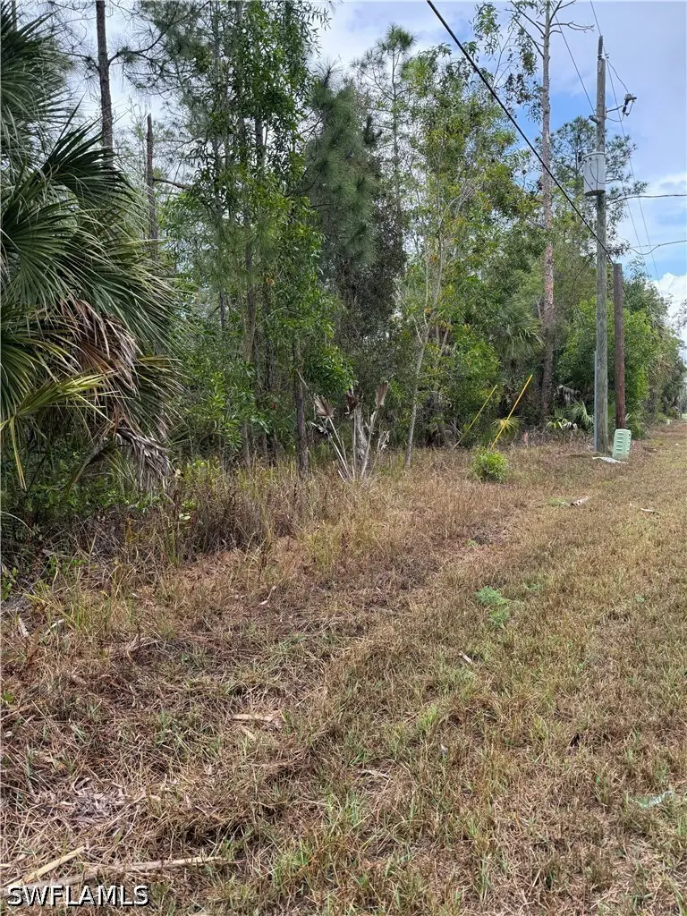 33rd Avenue Ne, Naples, FL 34120 - #3