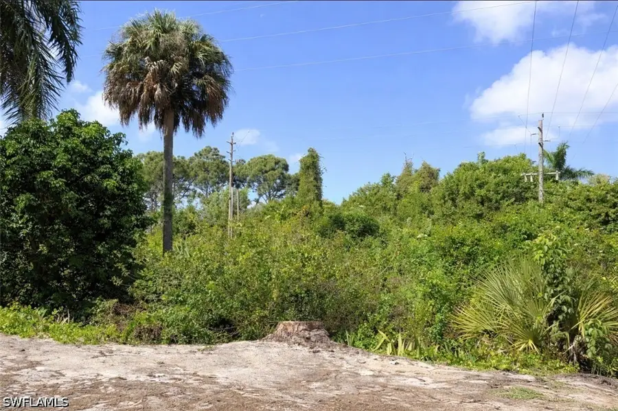 26129 Countess Lane, Bonita Springs, FL 34135 - #2