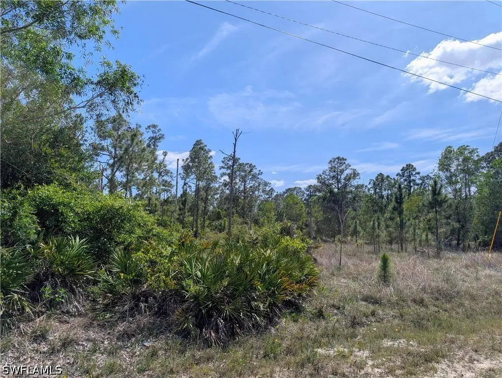 1042 Manning Street, Lehigh Acres, FL 33974 - #1