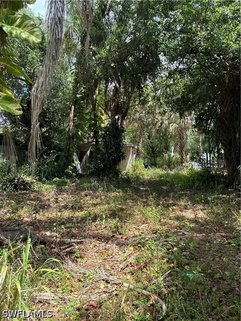 315 Buena Vista Boulevard, Fort Myers, FL 33905 - #1