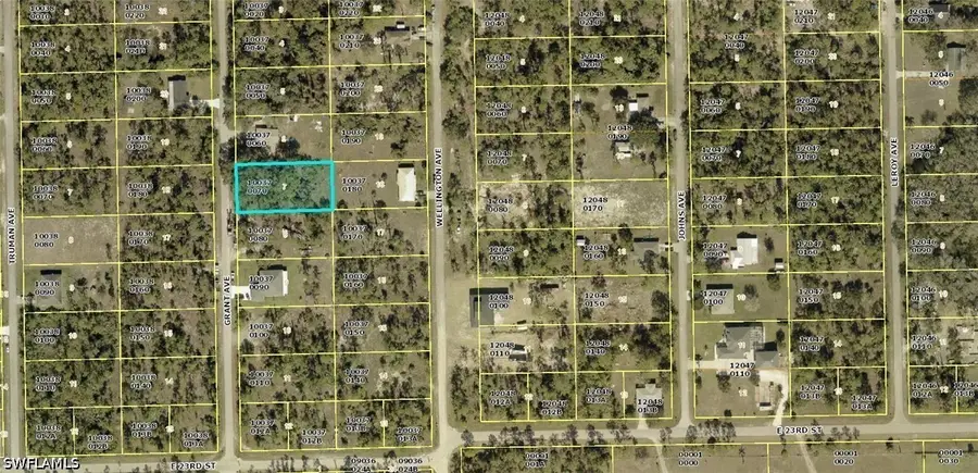 2310 Grant Avenue, Alva, FL 33920 - #2