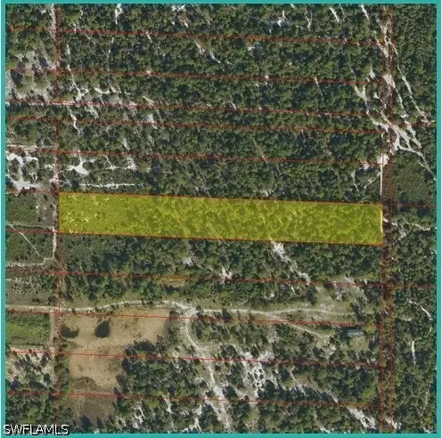 Frangipani & Ivy Way Avenue, Naples, FL 34120 - #1