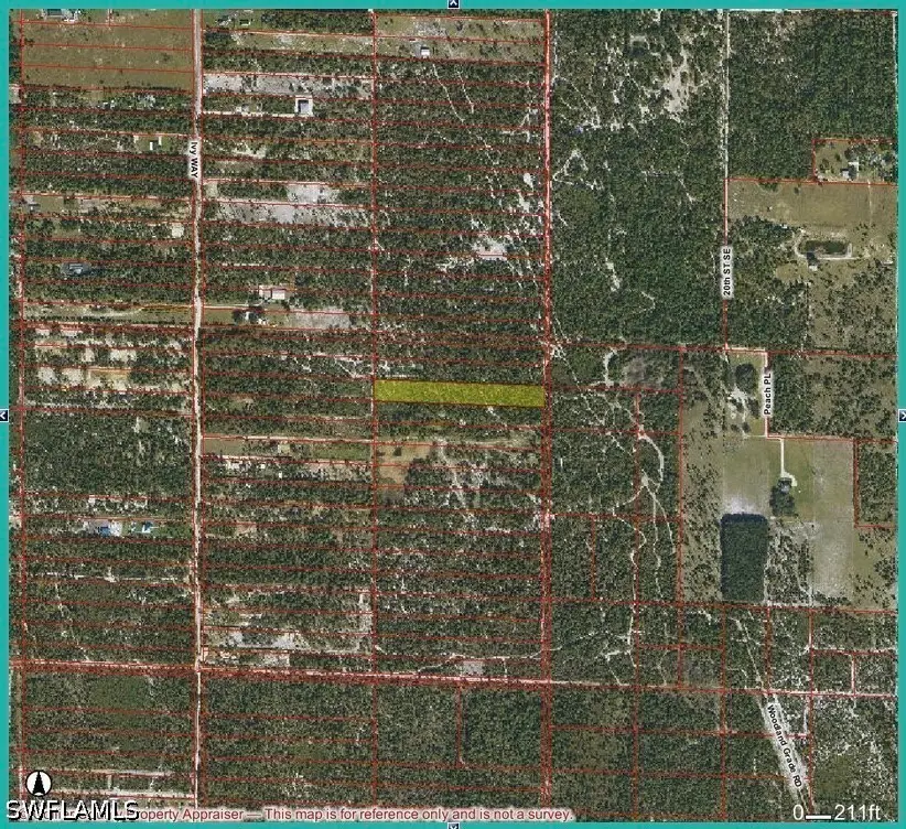 Frangipani & Ivy Way Avenue, Naples, FL 34120 - #2