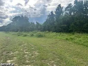 Sunset Vista Boulevard, Kissimmee, FL 34747 - #2