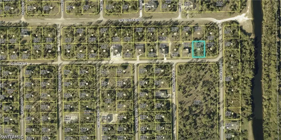 1245 Racoon Street E, Lehigh Acres, FL 33974 - #2