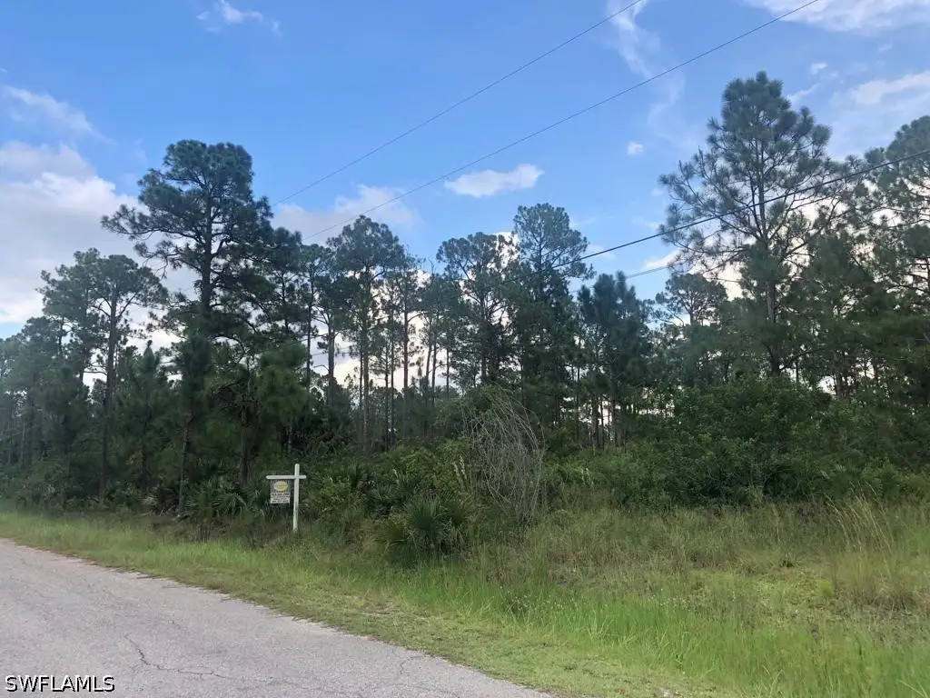 904 Acacia Avenue, Lehigh Acres, FL 33972 - #1