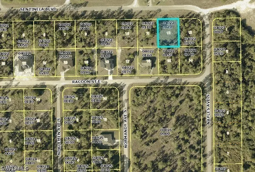 1244 Sentinela Boulevard, Lehigh Acres, FL 33974 - #3