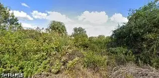 3922 21st Street W, Lehigh Acres, FL 33971 - #1