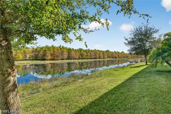 17361 Cherrywood Court #7801, Bonita Springs, FL 34135