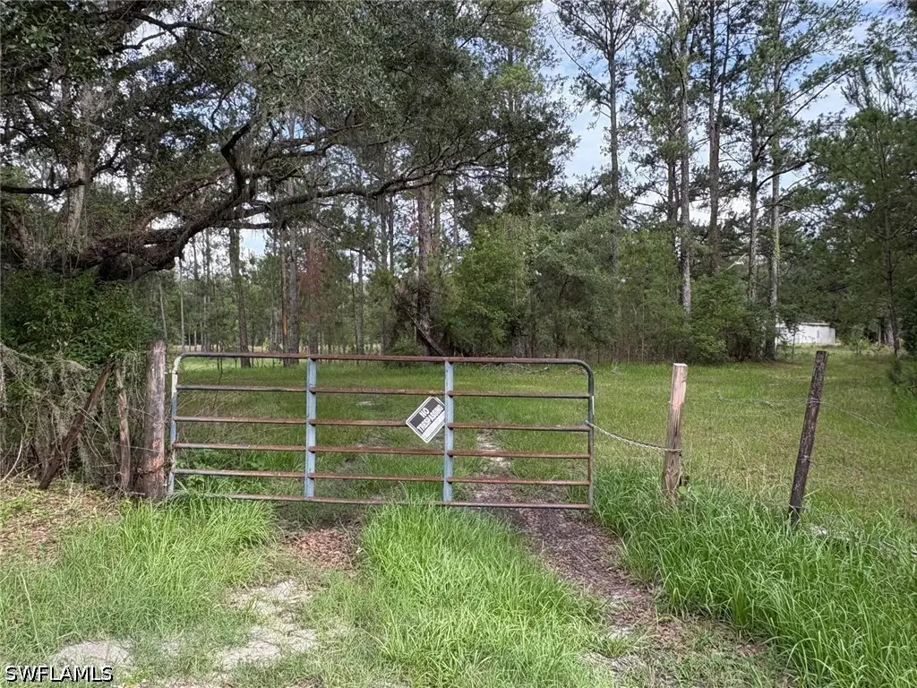 0 Xxx Broad Street, Brooksville, FL 34601 - #1