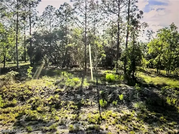 Address Withheld By Seller, Dunnellon, FL 34431