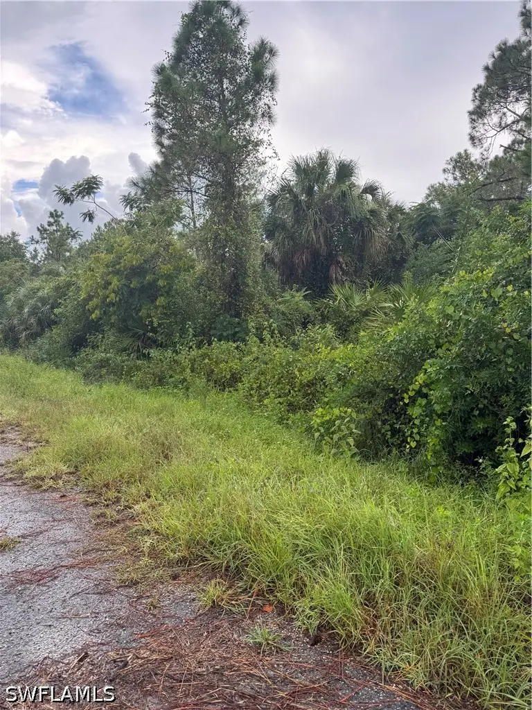 325 Irving Avenue, Lehigh Acres, FL 33936 - #2