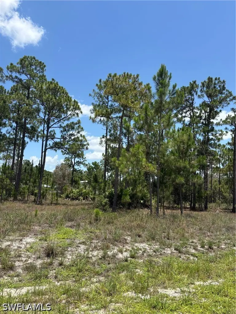 1112 Canton Avenue, Lehigh Acres, FL 33972 - #2