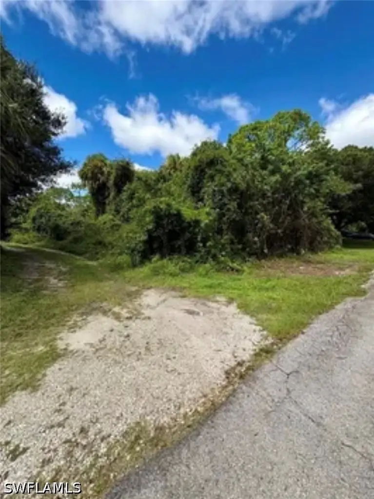 321 Jackson Avenue, Lehigh Acres, FL 33936 - #3