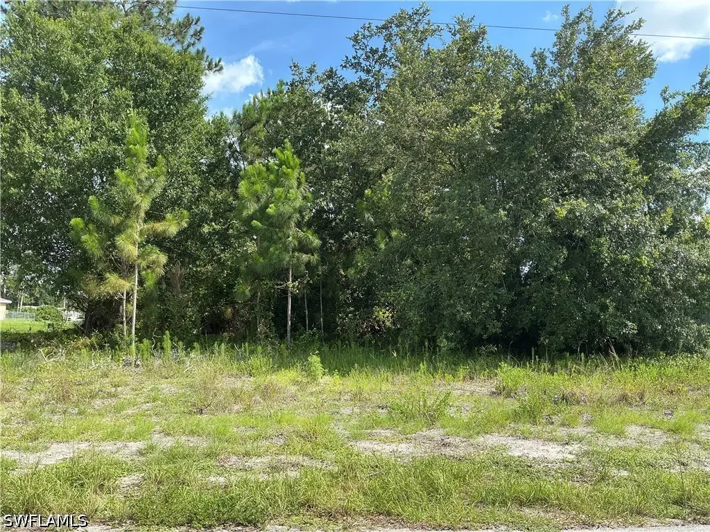 3013 45th Street Sw, Lehigh Acres, FL 33976 - #1