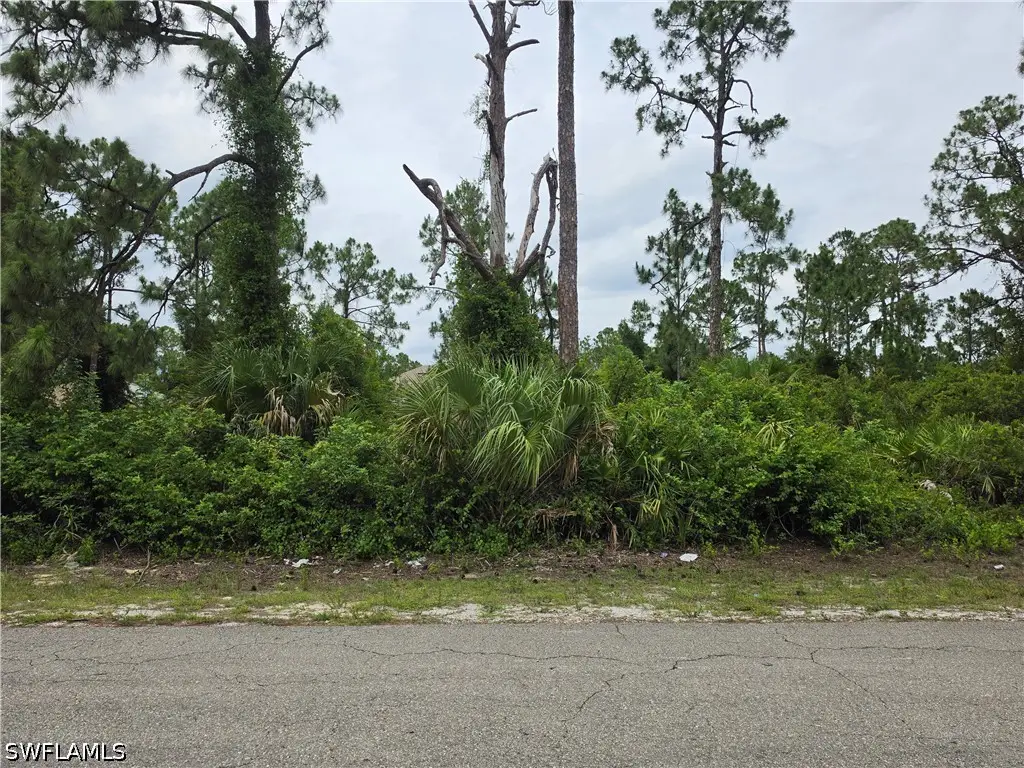 3832 17th Street W, Lehigh Acres, FL 33971 - #1
