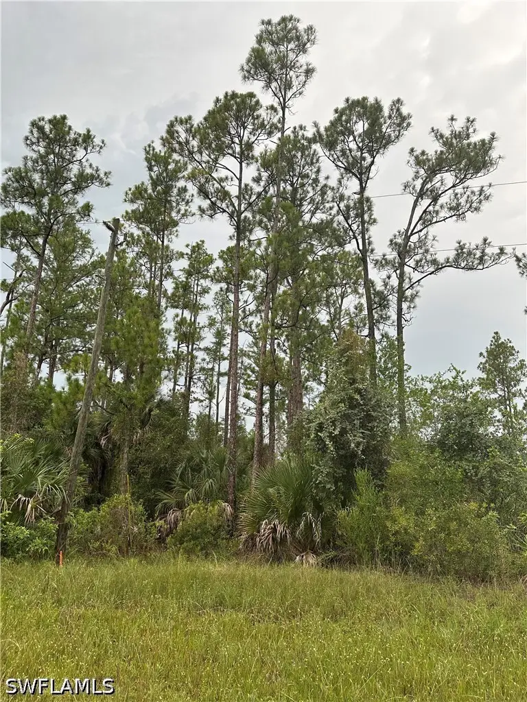 373/375 Greenbriar Boulevard, Lehigh Acres, FL 33972 - #1