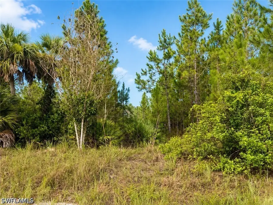 1010 Columbus Avenue, Lehigh Acres, FL 33972 - #3