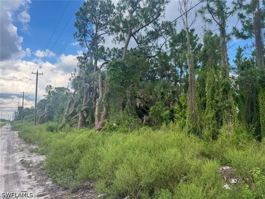 20940 Immokalee Road, Naples, FL 34120 - #2