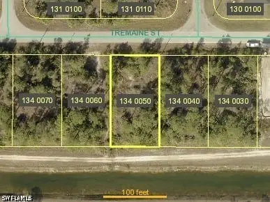 409 Tremaine Street, Lehigh Acres, FL 33972 - #1