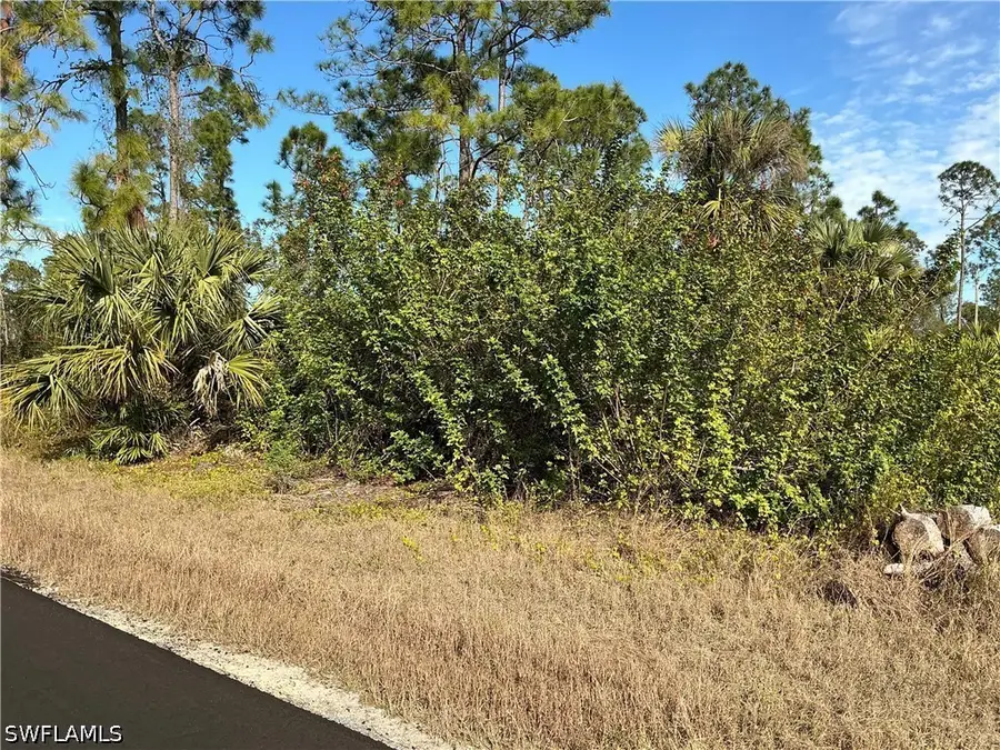 745 Oro Avenue S, Lehigh Acres, FL 33974 - #3