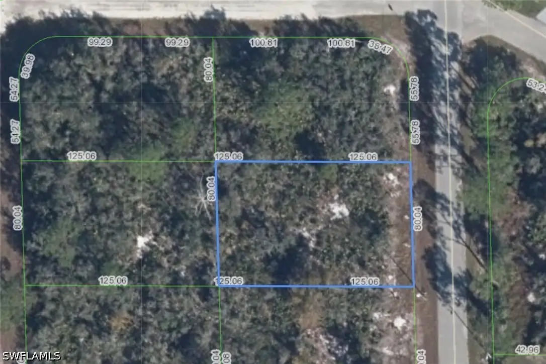 215 Marlin Street Nw, Lake Placid, FL 33852 - #1