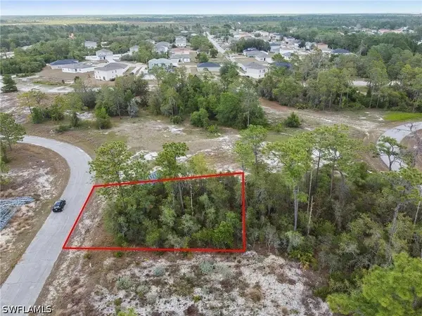1315 Homosassa Court, Kissimmee, FL 34759