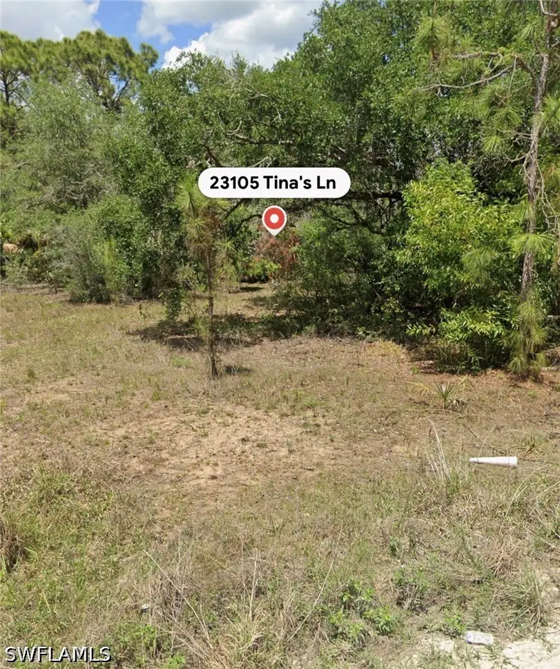 23105 Tinas Lane, Fort Myers, FL 33913 - #2