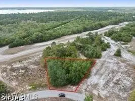 1329 Homosassa Court, Kissimmee, FL 34759