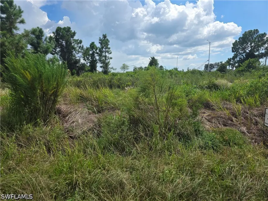 3044 Meadow Road, Lehigh Acres, FL 33974 - #2