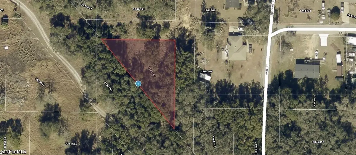 xxx Tangerine Street, Yalaha, FL 34797 - #1