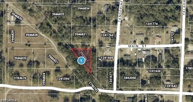 xxx Tangerine Street, Yalaha, FL 34797 - #2
