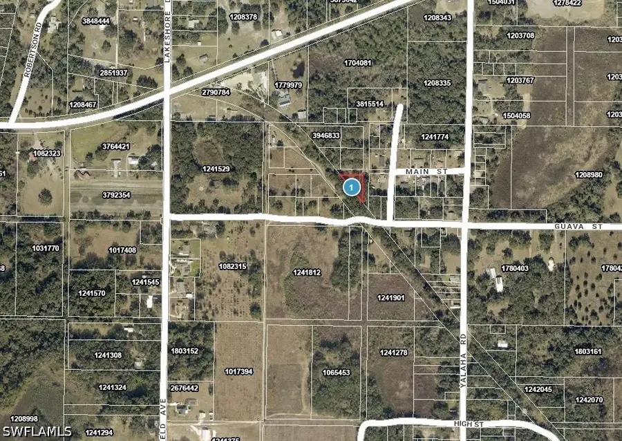 xxx Tangerine Street, Yalaha, FL 34797 - #3