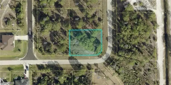 822 Appleton Avenue, Lehigh Acres, FL 33974
