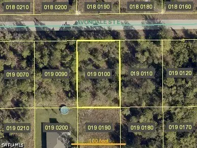 896 Avondale Street E, Lehigh Acres, FL 33974