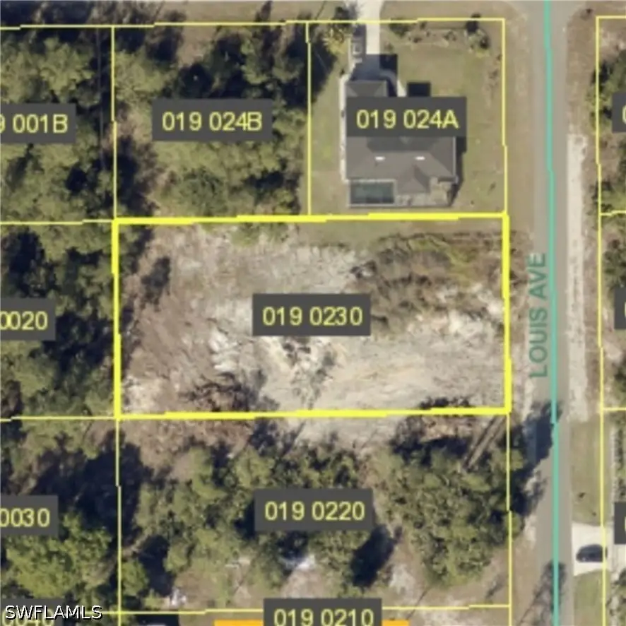 121 Louis Avenue, Lehigh Acres, FL 33936 - #2