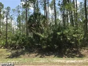 3530 5th Avenue Sw, Naples, FL 34117 - #1